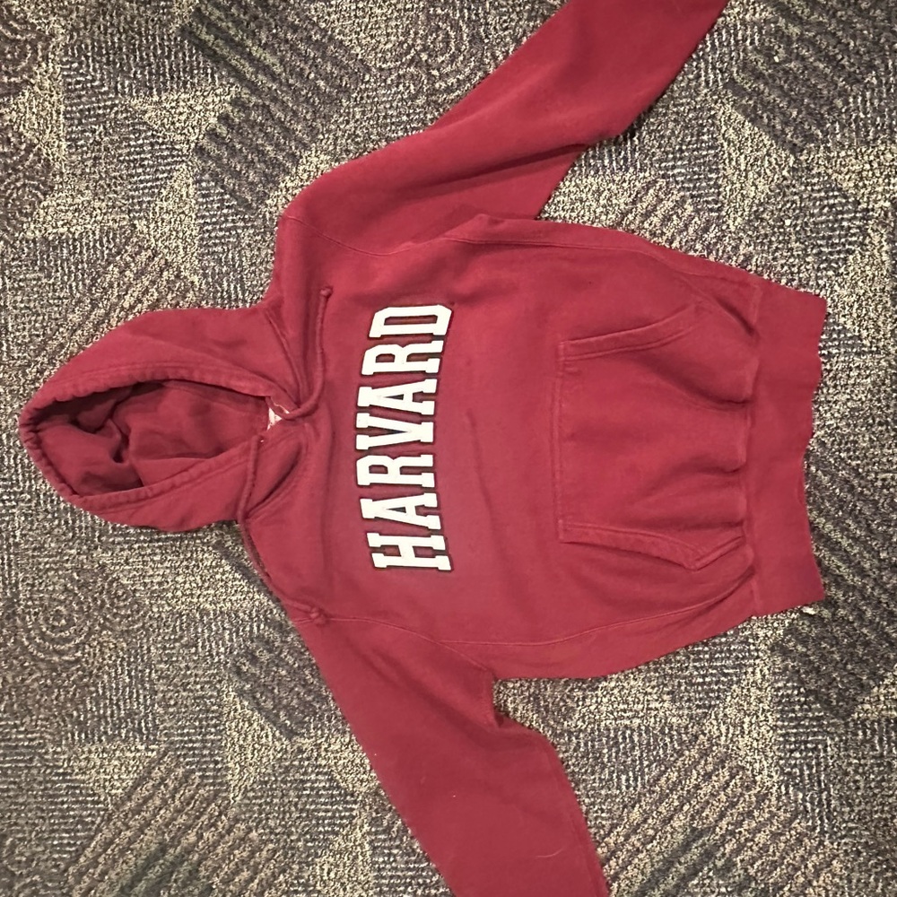 The Harvard Shop Pro-Weave Hood unisex oversized Size Small